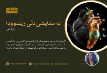 وێنەیەکی هێمایی زۆر نزیک و هونەری. دڵێکی مرۆڤ لە ناوەڕاستی وێنەکەدایە. نیوەی دڵەکە لە بەردی ڕەشی قەڵشتوو دروست کراوە، کە دووکەڵێکی ساردی لێوە دێت، وەک پشکۆی کوژاوە. نیوەکەی تری دڵەکە لە کریستاڵێکی درەوشاوە دروست کراوە و لەناوییەوە، نەمامێکی بچووک سەری دەرهێناوە و بەرەو ڕووناکی گەشە دەکات. چەند پەپولەیەکی ڕووناک لە دەوری نیوە زیندووەکە دەسووڕێنەوە. پاشبنەمای وێنەکە تاریک و سادەیە بۆ ئەوەی هەموو سەرنجەکە لەسەر دڵەکە بێت.