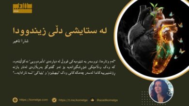 وێنەیەکی هێمایی زۆر نزیک و هونەری. دڵێکی مرۆڤ لە ناوەڕاستی وێنەکەدایە. نیوەی دڵەکە لە بەردی ڕەشی قەڵشتوو دروست کراوە، کە دووکەڵێکی ساردی لێوە دێت، وەک پشکۆی کوژاوە. نیوەکەی تری دڵەکە لە کریستاڵێکی درەوشاوە دروست کراوە و لەناوییەوە، نەمامێکی بچووک سەری دەرهێناوە و بەرەو ڕووناکی گەشە دەکات. چەند پەپولەیەکی ڕووناک لە دەوری نیوە زیندووەکە دەسووڕێنەوە. پاشبنەمای وێنەکە تاریک و سادەیە بۆ ئەوەی هەموو سەرنجەکە لەسەر دڵەکە بێت.
