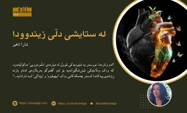 وێنەیەکی هێمایی زۆر نزیک و هونەری. دڵێکی مرۆڤ لە ناوەڕاستی وێنەکەدایە. نیوەی دڵەکە لە بەردی ڕەشی قەڵشتوو دروست کراوە، کە دووکەڵێکی ساردی لێوە دێت، وەک پشکۆی کوژاوە. نیوەکەی تری دڵەکە لە کریستاڵێکی درەوشاوە دروست کراوە و لەناوییەوە، نەمامێکی بچووک سەری دەرهێناوە و بەرەو ڕووناکی گەشە دەکات. چەند پەپولەیەکی ڕووناک لە دەوری نیوە زیندووەکە دەسووڕێنەوە. پاشبنەمای وێنەکە تاریک و سادەیە بۆ ئەوەی هەموو سەرنجەکە لەسەر دڵەکە بێت.